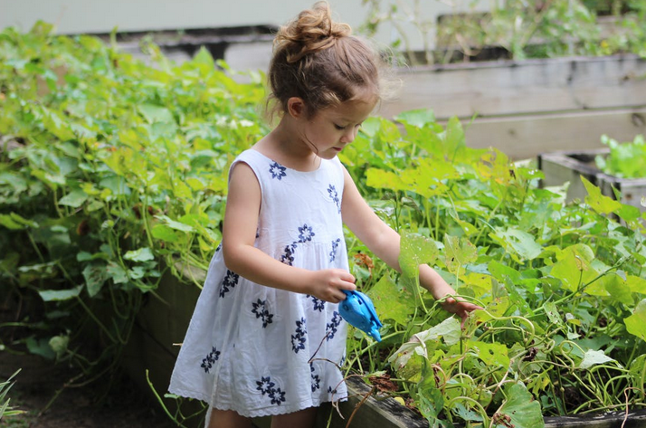 gardening