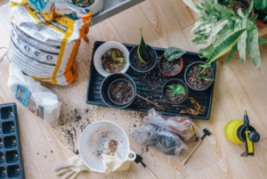 soil
